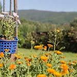 Casa Do Porto Carreiro *