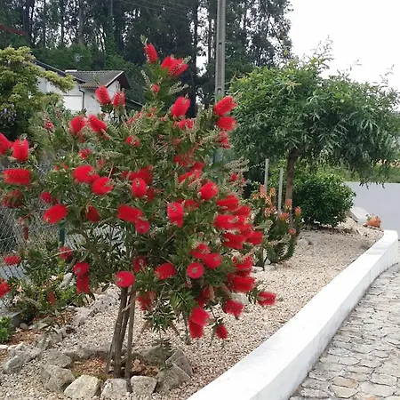 Casa Do Porto Carreiro * Oliveira de Azemeis