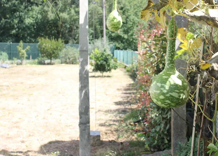 Casa Do Porto Carreiro * Oliveira de Azemeis